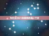 为什么2021年属狗的是一个坎，2021年属狗人的运气好不好？
