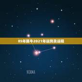 85年属牛2021年运势及运程，2021年牛人运势运程