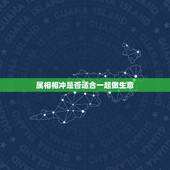 属相相冲是否适合一起做生意，生肖不合能否合伙做生意 属相相冲合伙做生意