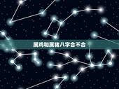 属鸡和属猪八字合不合，免费测两人八字合不合