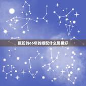 属蛇的65年的婚配什么属相好，属蛇的配什么属相好