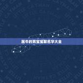 属牛的男宝宝取名字大全，属牛的宝宝取名字