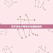戊午日柱于癸未日柱婚配如何，合婚男女八字日柱相同，好不好