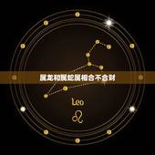 属龙和属蛇属相合不合财，属龙和属蛇属相可合？