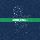 属兔感情运势2022，2022年兔子的运势如何