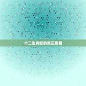 十二生肖蛇的真正属相，十二生肖中的蛇，是什么蛇？
