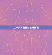 二十八岁属什么生肖属相，二十八岁的生肖是什么？