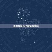 爸爸属鼠儿子属兔相克吗，属兔爸爸和属鼠宝宝合不合