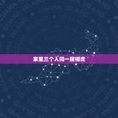 家里三个人同一属相虎，三个人把虎字拆开了打一成语