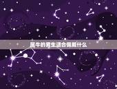 属牛的男生适合佩戴什么，属牛佩戴什么木珠