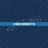 95猪跟94狗属相合不合，94狗和95猪合不合