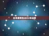 白羊座男生2022年运势，属蛇白羊座2021年运势及运程 命运如何