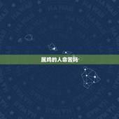 属鸡的人命苦吗，属鸡人一生的贵人