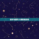 属牛与属牛人婚配相合吗，属牛的人和什么属相最配