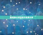 属虎的62年出生今年多少岁，62年属虎今年多大岁数
