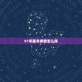 91年属羊感情怎么样，1991年属羊是什么命
