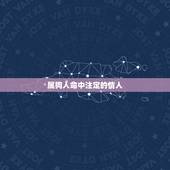 属狗人命中注定的情人，自杀的人是命中注定