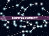 男属蛇与女属猪婚配好不好，男属蛇，女属猪的婚姻好不好？