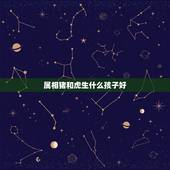 属相猪和虎生什么孩子好，属虎和属牛的生个个什么属相的孩子好