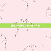 属蛇的和属龙的合不合算八字，蛇与龙合不合适