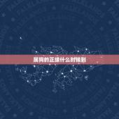 属狗的正缘什么时候到，属狗的人婚烟什么时候才到？