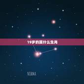 19岁的属什么生肖，19岁属什么生肖配对