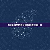 1月份出生的孩子属相应该是哪一年，2021年1月份出生的宝宝是什么属相