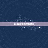 2002属蛇的今年多大，2002年出生的属蛇