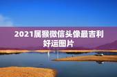 2021属猴微信头像最吉利好运图片，微信头像用什么最好最吉利