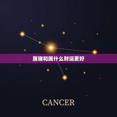 属猪和属什么财运更好，83年属猪39和40岁命运