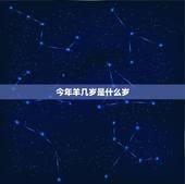 今年羊几岁是什么岁，属羊的克星是什么属相