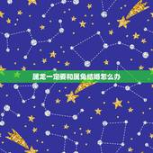 属龙一定要和属兔结婚怎么办，有没有龙兔结婚很好的