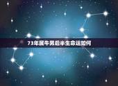 73年属牛男后半生命运如何 73年属牛男一生命运如何