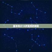 属羊和小14岁属鸡的婚配，属羊的和属鸡的相配？是什么命