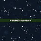 属猴的跟属鸡的能不能婚配，属猴的和属鸡的配吗