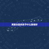 男猴女鼠的孩子什么属相好，男属猴女属鼠生个属什么的宝宝好？