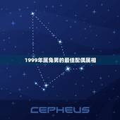 1999年属兔男的最佳配偶属相，99年属兔的男生和什么属相最配？