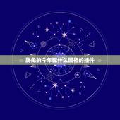 属兔的今年配什么属相的挂件，属兔人最适合佩戴什么饰品