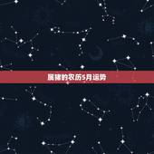 属猪的农历5月运势，1983年5月份出生的属猪的人今年运势