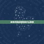 身倚丹桂起相思是什么属相，身奇丹桂起相思可解到什么生肖