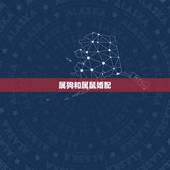 属狗和属鼠婚配，属狗的与属鼠的相配