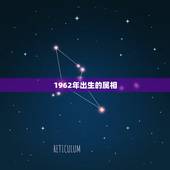 1962年出生的属相，1962年出生的女性名人