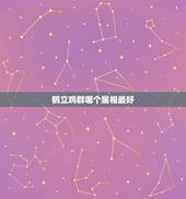 鹤立鸡群哪个属相最好，十二生肖鹤立鸡群的动物是哪一个？