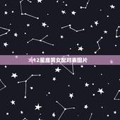 12星座男女配对表图片，12星座最佳配对（+男女）
