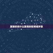 属猪的找什么属相的配婚姻岁数，属猪的婚姻和哪个属相和