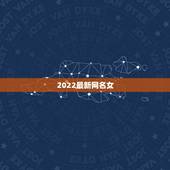2022最新网名女，个性网名2021最新版女