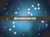 属龙鸡回窝时辰好不好，属羊的命运为什么不好
