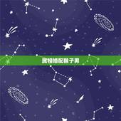 属相婚配猴子男，男属猴是和什么属相最合适？