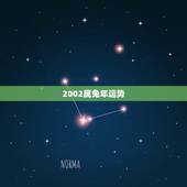 2002属兔年运势，1962年属兔人今年运势