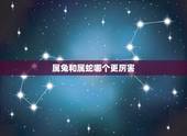 属兔和属蛇哪个更厉害，男兔女蛇叫蛇盘兔吗